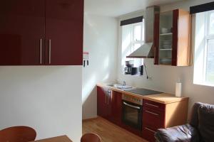 Kuchyň nebo kuchyňský kout v ubytování Mánagisting Guesthouse