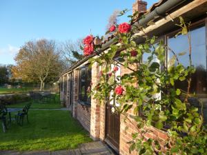 The building where the vacation home is located 