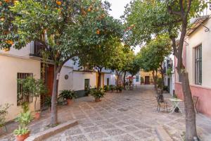 un callejón con naranjos, mesas y sillas en Abades Giralda View by Valcambre en Sevilla