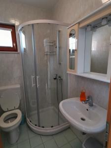 W łazience znajduje się prysznic, toaleta i umywalka. w obiekcie Apartma Jowz w mieście Bovec
