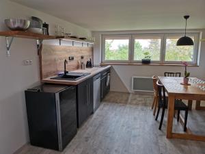Köök või kööginurk majutusasutuses Apartmány Svatá
