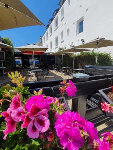 Une bande de fleurs roses assises à côté d'un banc dans l'établissement La Marine, à Carnac