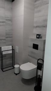 Kúpeľňa v ubytovaní Apartament Wiktoria + 11 fotografií