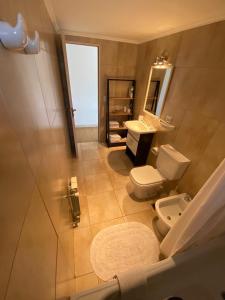 a bathroom with a toilet and a sink and a mirror at Apartamento Casco Histórico in San Carlos de Bariloche