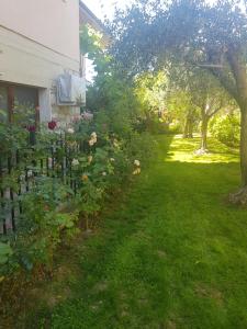 A garden outside El Giardino delle Rose.....