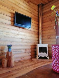 eine Blockhütte mit einem Kamin und einem TV an der Wand in der Unterkunft Ca'Lila in Pulpí
