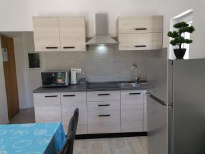 A kitchen or kitchenette at Apartments Jurandvor