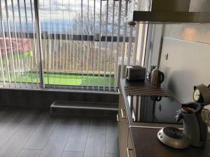 a kitchen with a refrigerator and a large window at Petit moment de Bonheur in Turckheim +7 photos