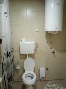 a small bathroom with a toilet and a shower at GRAND Jagodina in Jagodina