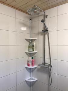 a bathroom with a shower with two shelves at Rantapuro in Alvajärvi