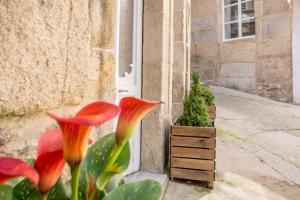 Vonkajšia záhrada v ubytovaní Casa del ancla