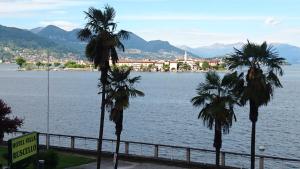 een groep palmbomen naast een waterlichaam bij Hotel Villa Ruscello in Baveno