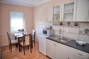 Η κουζίνα ή μικρή κουζίνα στο Apartman ANA