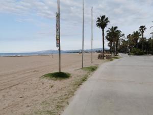 une plage de sable avec des palmiers et un trottoir dans l'établissement Salou luz y color, à Salou