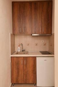 uma cozinha com armários de madeira e um lavatório em Apartment Nikola em Belgrado