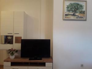 TV a/nebo společenská místnost v ubytování Apartments Šime