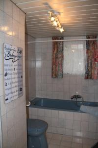 een badkamer met een blauw toilet en een bad bij Buchschneider - Ferienhaus Maier - Landhof in Schwarzautal