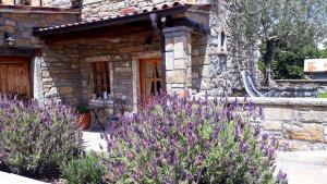 Zahrada ubytování Wine House Rakar