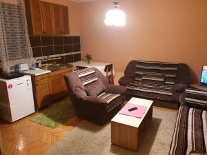 Kuchyň nebo kuchyňský kout v ubytování Apartmani Angelina Jošanička Banja