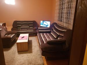 TV a/nebo společenská místnost v ubytování Apartmani Angelina Jošanička Banja