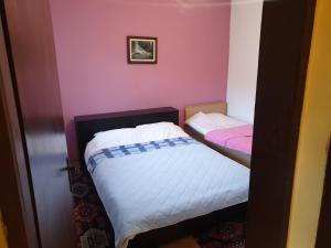 Postel nebo postele na pokoji v ubytování Apartmani Angelina Jošanička Banja
