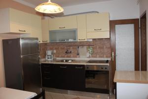 a kitchen with a refrigerator and a sink at Haus Milan AP 1 in Fažana