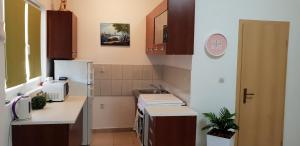 małą kuchnię ze zlewem i lodówką w obiekcie Apartmani Samanta Vir w mieście Vir