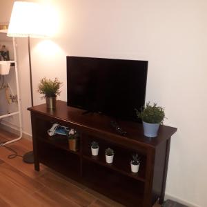 una TV a schermo piatto seduta su un tavolo con piante in vaso di Sant'Onofrio apartment a Bari