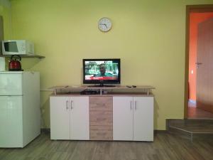 Kuchyňa alebo kuchynka v ubytovaní Apartman Salvia