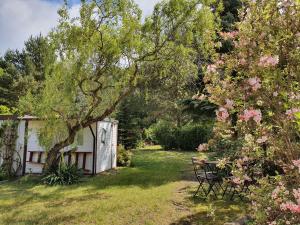 a yard with a picnic table and a tree at Ferienhaus am Helenesee 5 in Frankfurt Oder
