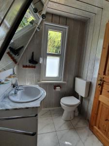 a bathroom with a toilet and a sink and a window at Ferienhaus am Helenesee 5 in Frankfurt Oder +11 photos