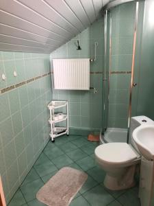 カルパチにあるWilla Emiのバスルーム(トイレ、シャワー、シンク付)