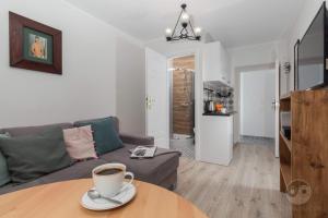 Kuchnia lub aneks kuchenny w obiekcie Goma Rent Długa Old Town Gdańsk