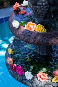 Bazén v ubytování Hotel Spa Posada Tlaltenango nebo v jeho okolí