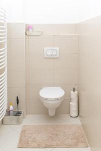 a bathroom with a toilet and a shower at Park Apartman H&eacute;v&iacute;z in H&eacute;v&iacute;z