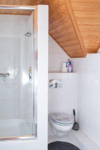ein Bad mit einer Dusche und einem WC in der Unterkunft Park Apartman Hévíz in Hévíz