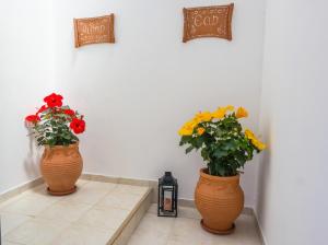 Fotografie z fotogalerie ubytování Nectar Apartments v destinaci Istron