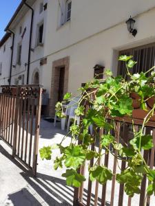 uma cerca com uma planta em frente a um edifício em La Casa di Romeo em Ateleta