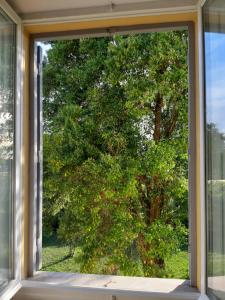 A garden outside IV Casale Roma Country Villa
