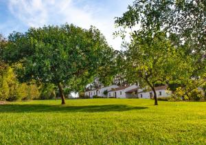 two trees in a field of green grass at Cerro Da Fontinha in São Teotónio