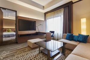 TV a/nebo společenská místnost v ubytování Hotel Nikko Tachikawa Tokyo