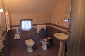 La petite salle de bains est pourvue de toilettes et d'un lavabo. dans l'établissement Rustic Argesean, à Corbeni
