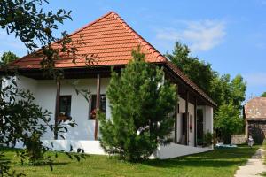 een klein wit huis met een rood dak bij Ubytovanie na včelej farme in Polichno
