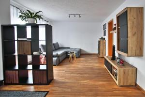 a living room with a couch and a television at Albglück in Gammertingen