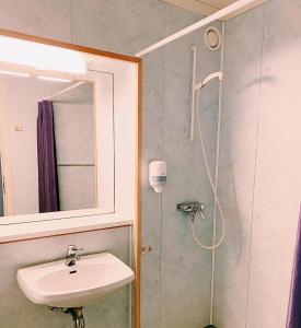 uma casa de banho com um lavatório e um chuveiro com um espelho. em Rødberg Hotel em Rødberg