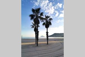 two palm trees on a sandy beach at Holiday Apartment Mariola in Calpe