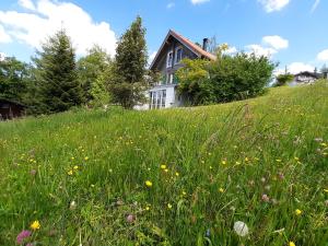 a house on a hill with a field of flowers at Appartement Ingrid in Lochau