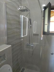 uma casa de banho com um chuveiro e uma porta de vidro em Apartments Barbara em Pinezici