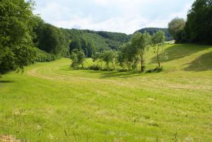 Gallery image of Ferienhaus Anke nur für Urlauber! in Bremke