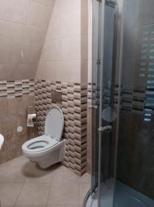 a bathroom with a toilet and a glass shower at Pokoje u Wojciecha in Tylmanowa
